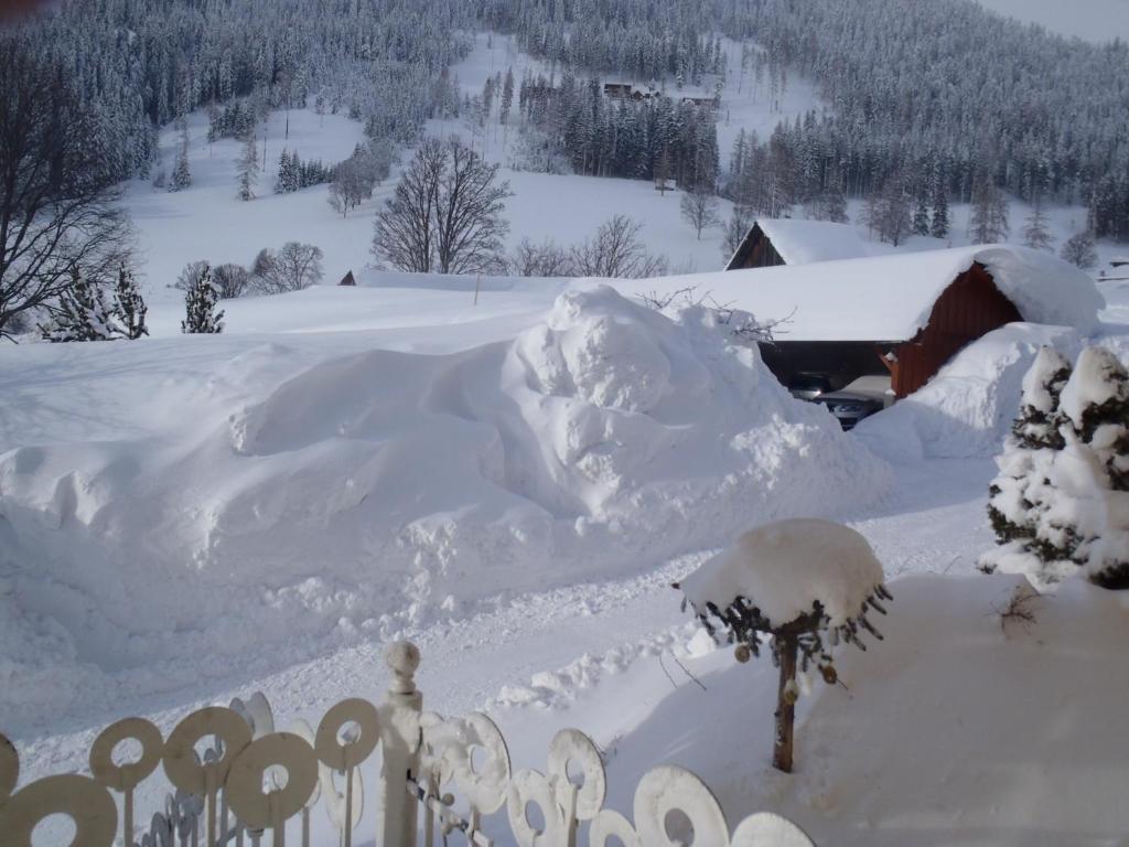 Aparthotel Pfeffermuehle Ramsau am Dachstein Kültér fotó